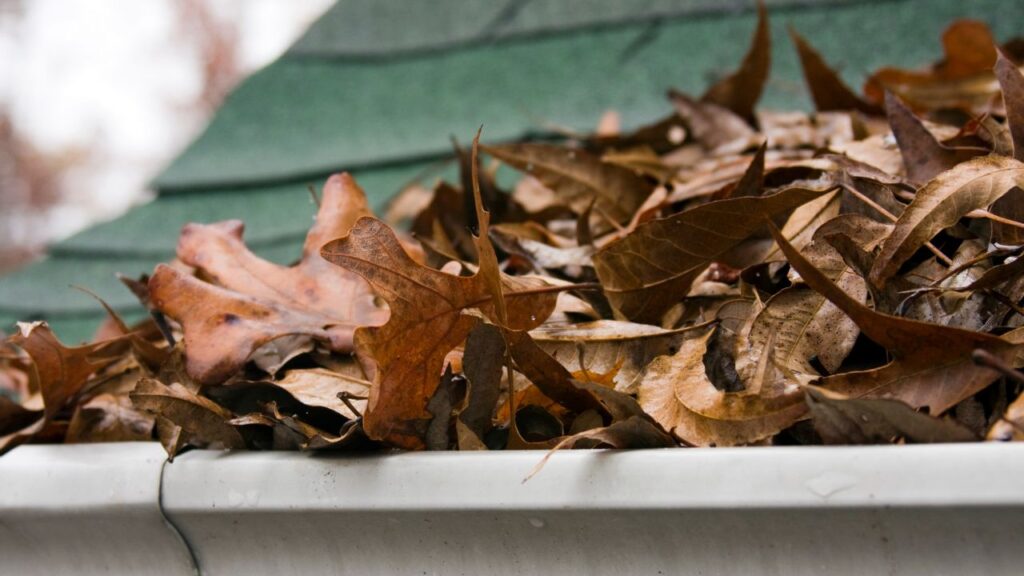 winter fall autumn check list for roofing local roofing company monmouth il